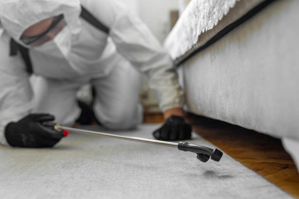 Professional Termite Control technician working in Towanda, PA